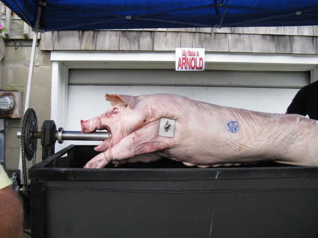 pig-fresh-on-spit
