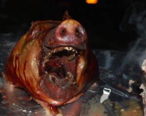 pig-head